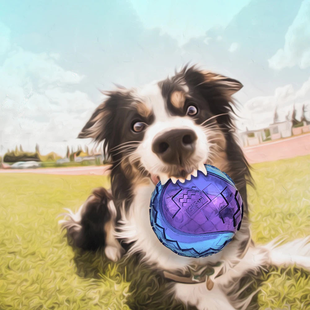 Palla da masticare per cani con fischio - Gioco elastico in gomma non tossica