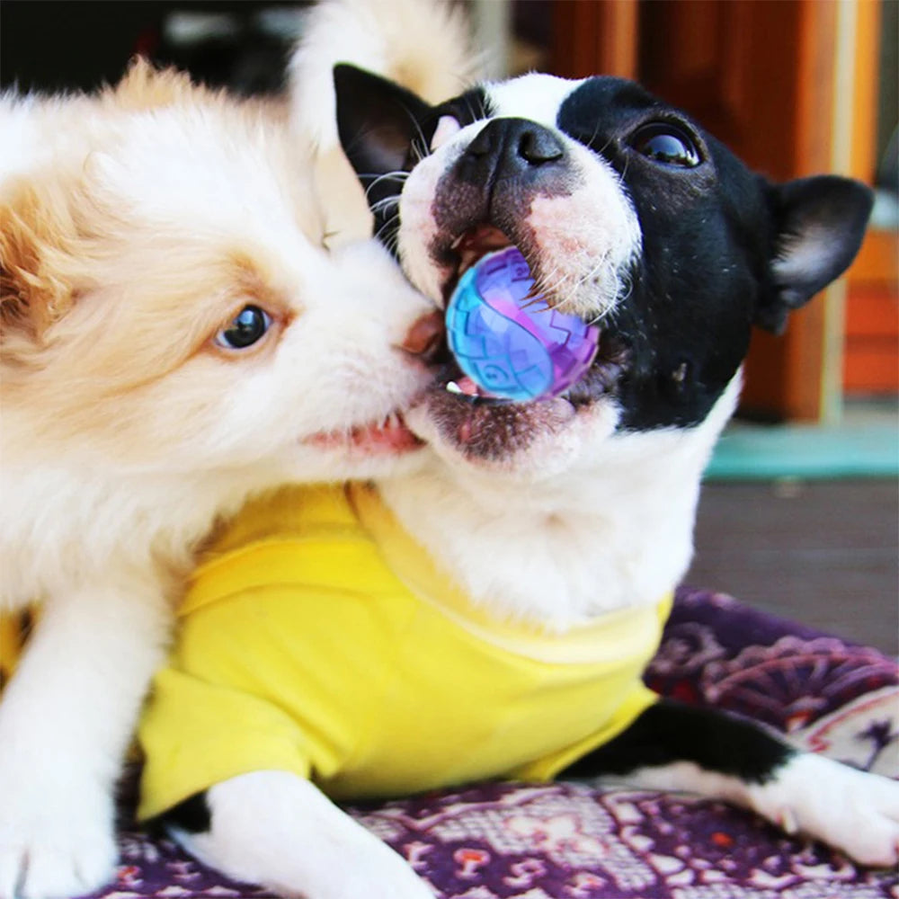 Palla da masticare per cani con fischio - Gioco elastico in gomma non tossica