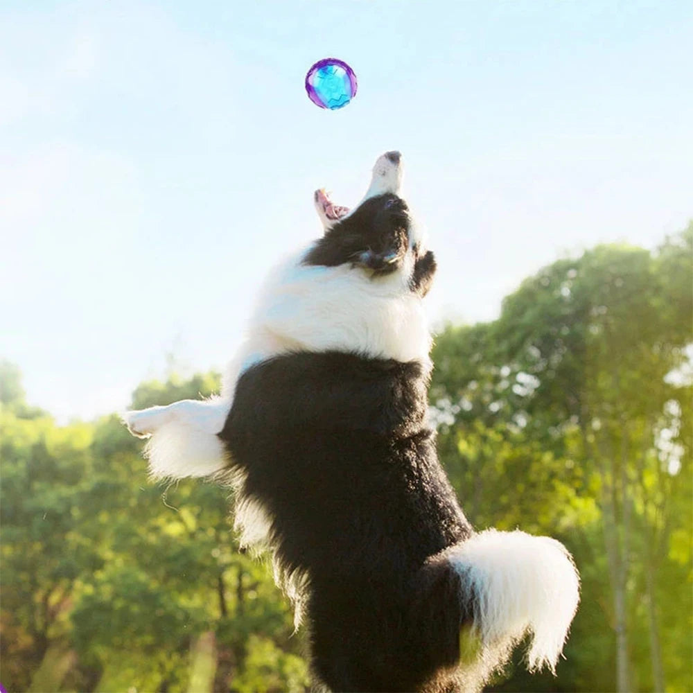 Palla da masticare per cani con fischio - Gioco elastico in gomma non tossica