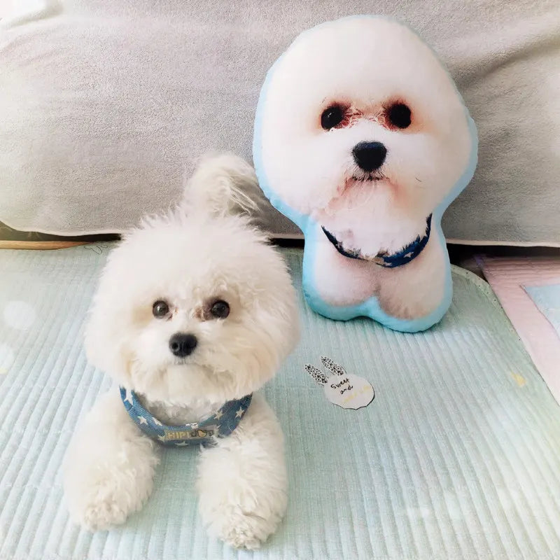 Cuscino Personalizzato con Foto per Animali – Peluche per Sofa, Auto e Regalo