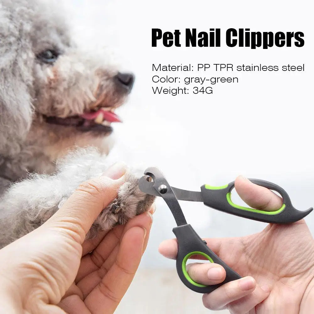 Forbici per unghie animali piccoli – Tagliaunghie in acciaio inox antiscivolo