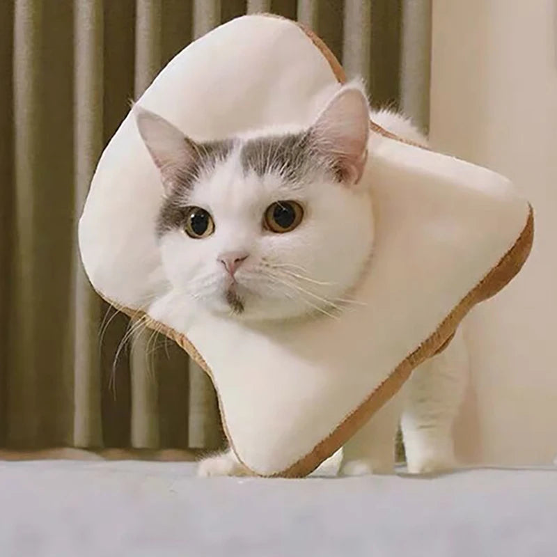 Collare Recupero a Forma di Avocado in Cotone Morbido per Cani e Gatti