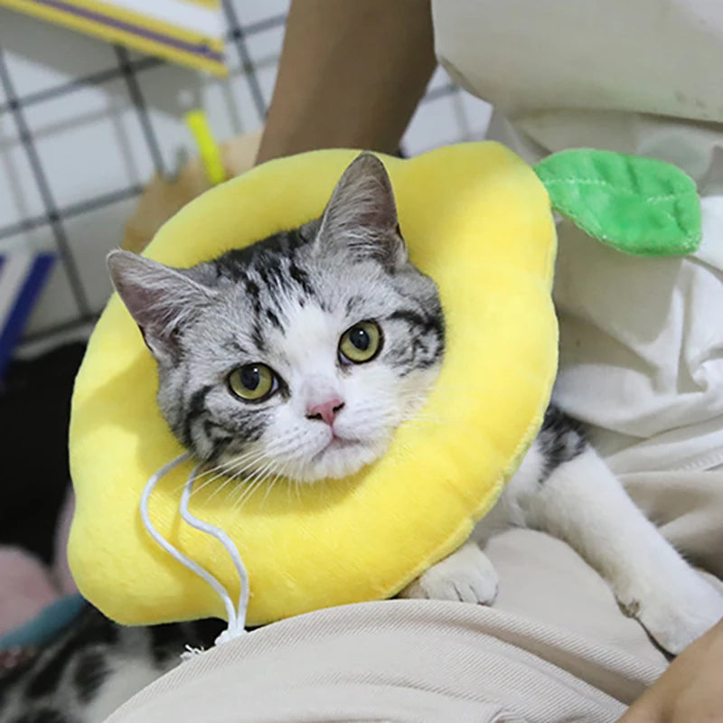 Collare Recupero a Forma di Avocado in Cotone Morbido per Cani e Gatti