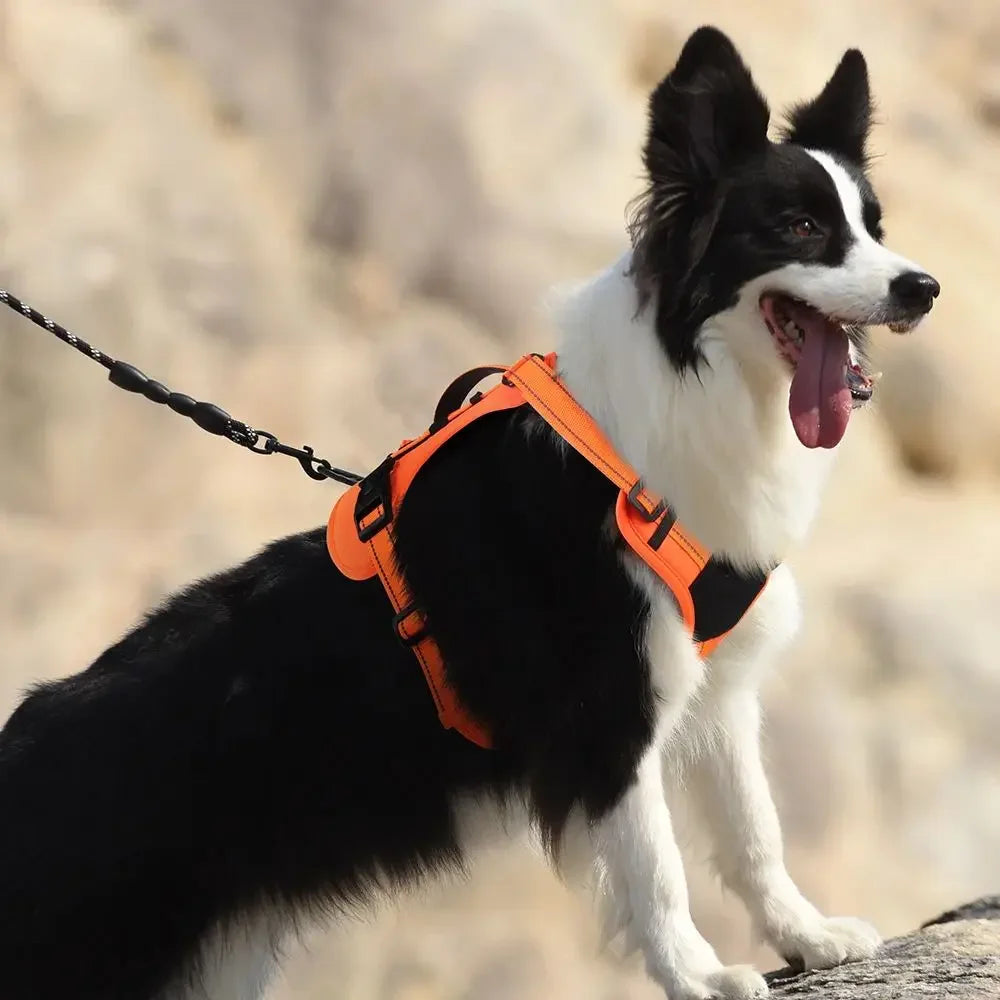 Imbrago tattico riflettente per cani, multifunzionale e antiesplosivo