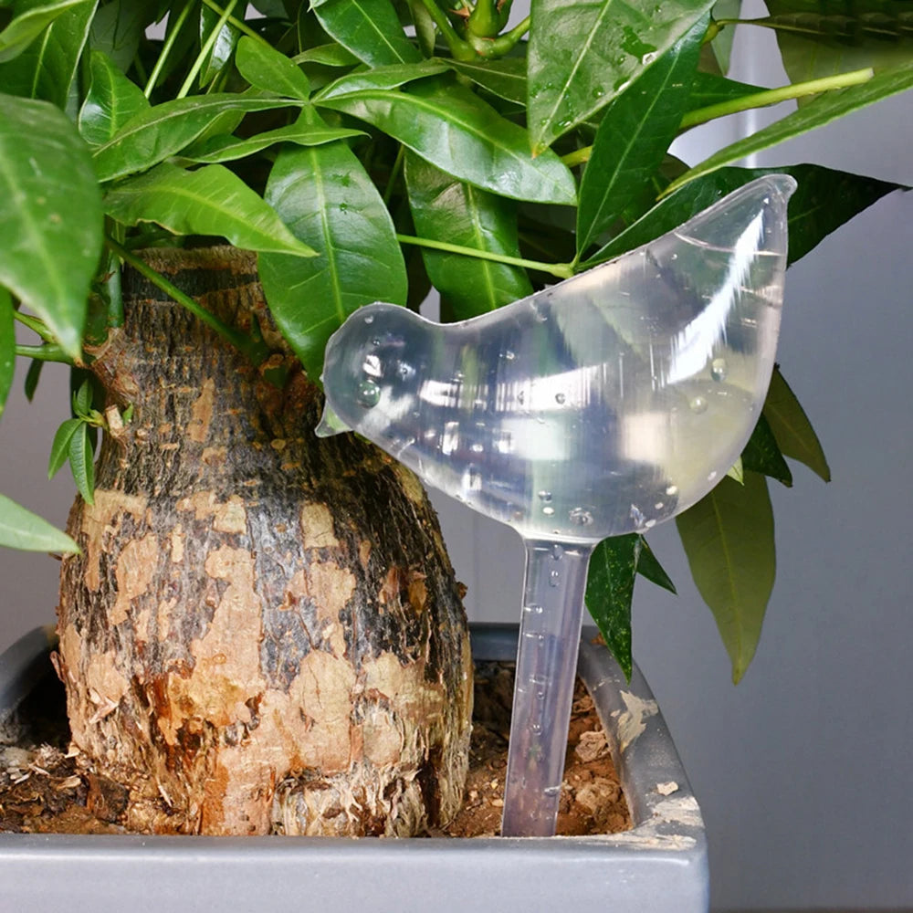 Palline di irrigazione automatiche a forma di tulipano per piante indoor e…