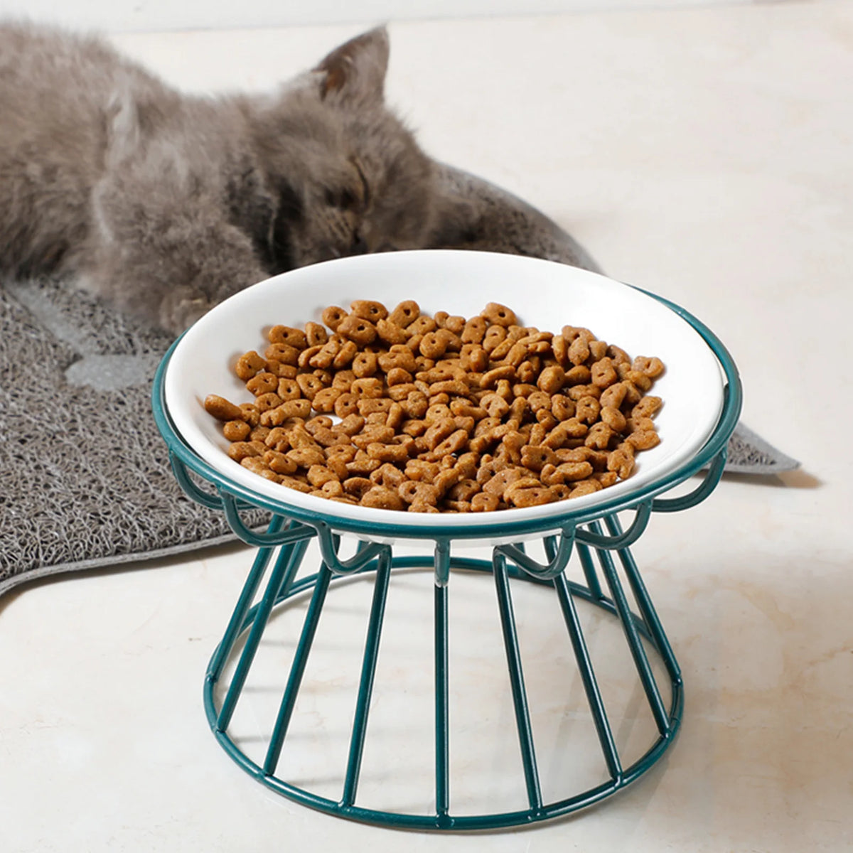 Ciotola in ceramica alta per gatti e cuccioli, anti ribaltamento