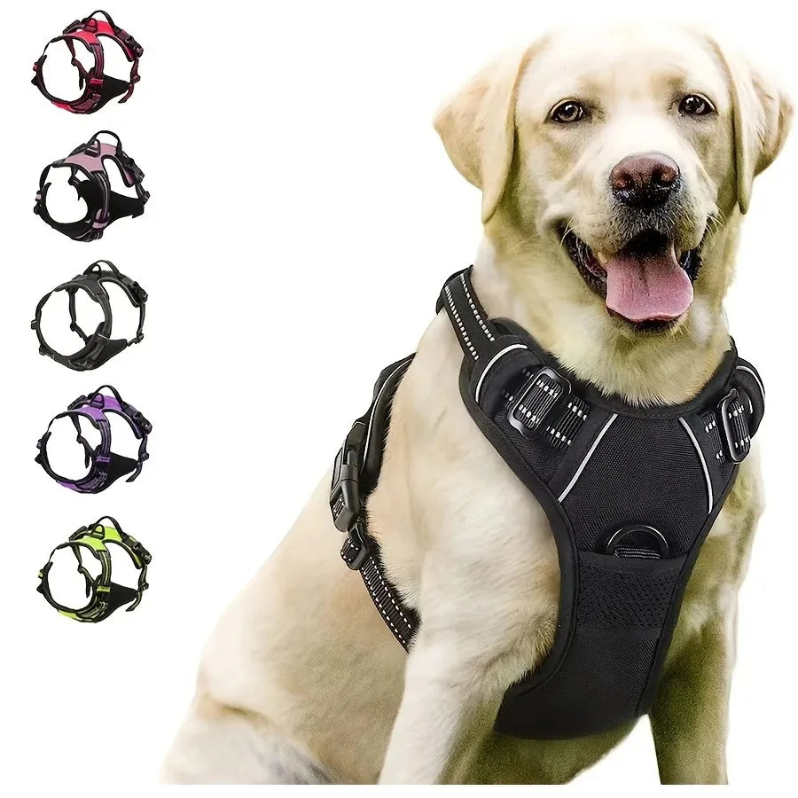 Set Collare e Imbrago a Gilet per Cani di Taglia Media e Piccola