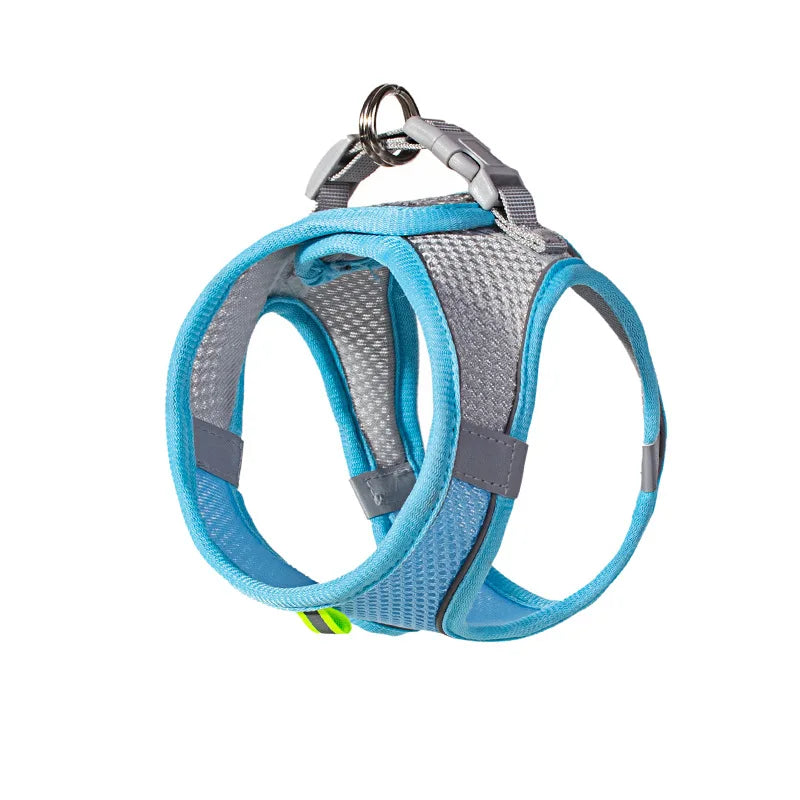 Set Imbracatura Regolabile per Cuccioli e Gatti – Nylon Riflettente