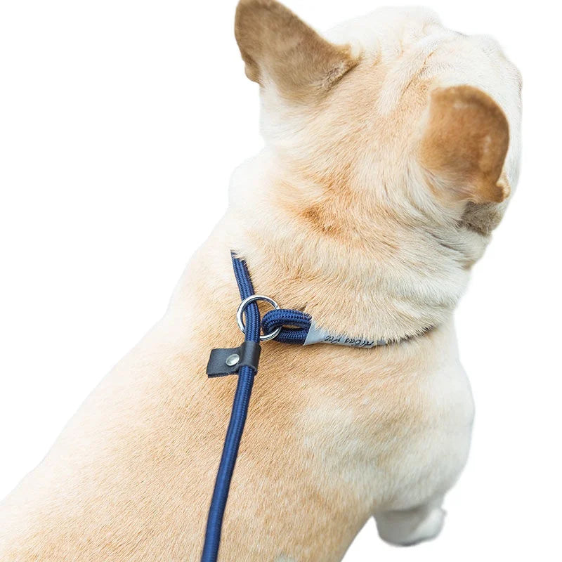 Guida in Corda Slip per Cani Medi e Grandi, Regolabile e Resistente