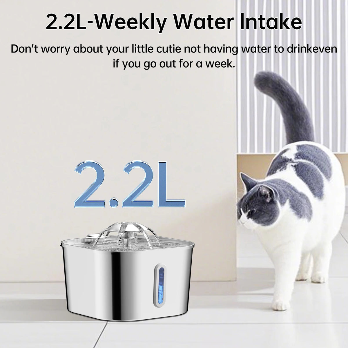 Fontana per gatti automatica 2.2L in acciaio inox con filtro e pompa silenziosa