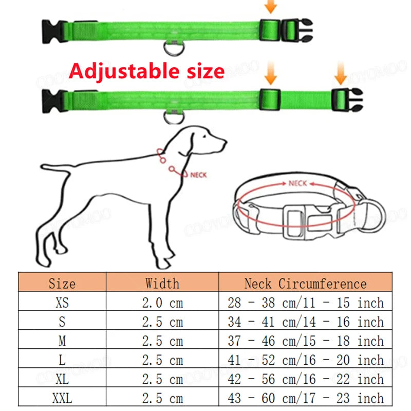 Collare LED Luminoso per Cani e Gatti - USB Ricaricabile, 3 Modalità,…