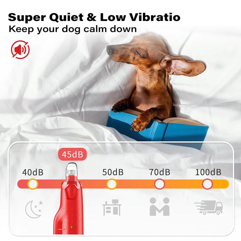 Levigatore per unghie cani silenzioso 6 velocità con 2 LED e protezione polvere