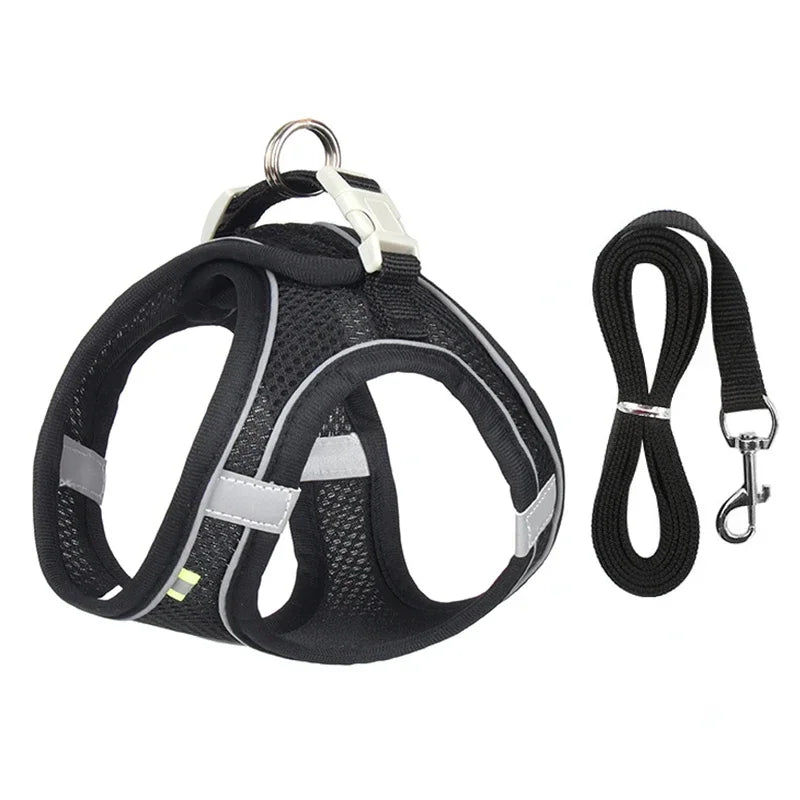 Imbracatura per Cani Piccoli con Guinzaglio, Harness Regolabile in Nylon,…