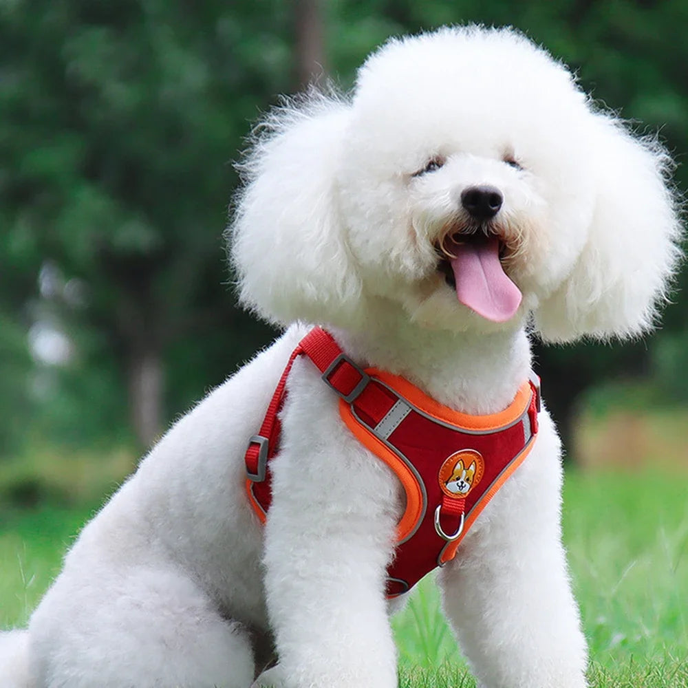 Imbracatura Riflettente Regolabile per Cani Piccoli e Medi con Guinzaglio