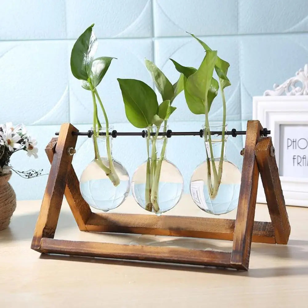 Decoration Terrarium Tabletop Planter Flower Pot Wooden Frame Hydroponic Plant Vases Glass Vase
