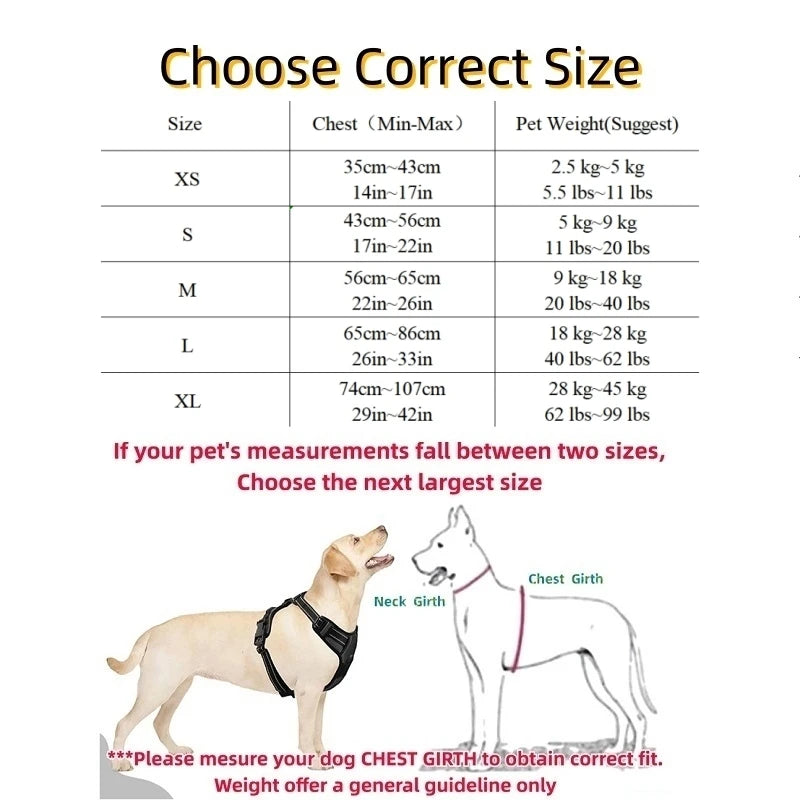 Imbracatura per Cani Vest Taglie S M L - Nylon Riflettente, Chiusura Lampo