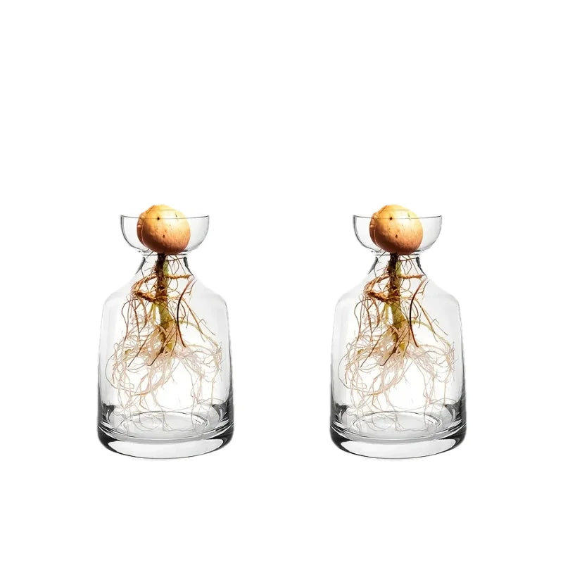Four-piece Avocado Seed Starter Vase- Grow Your Own Avocado Tree Unique Glass Planting Pot for Gardening Lovers Start Your Green