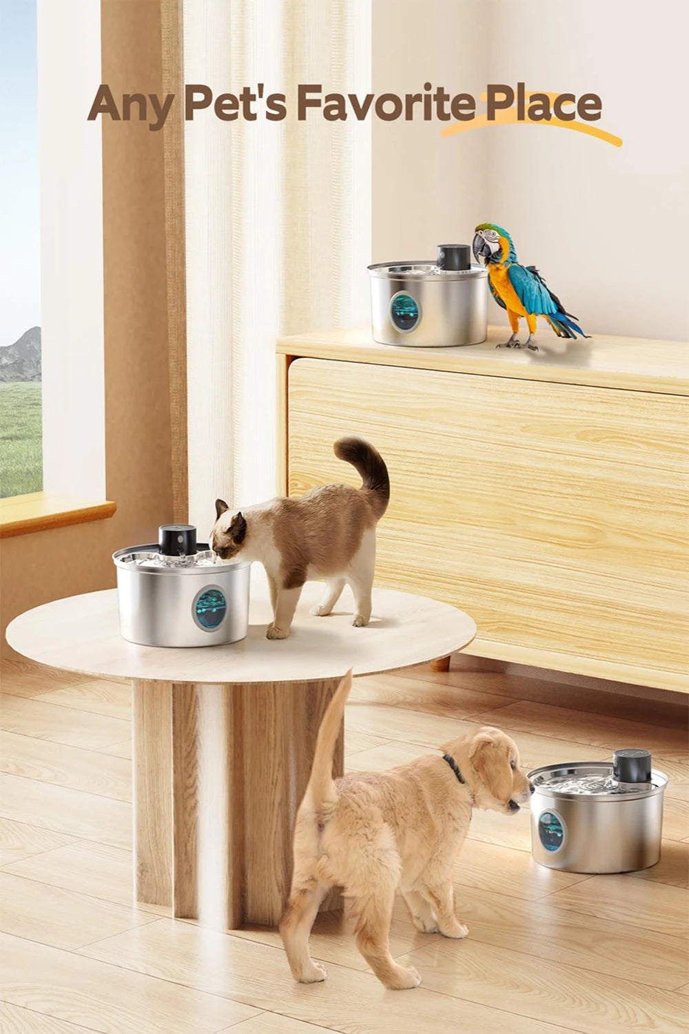 Fontana d'acqua per animali in acciaio inox 3,2 L ricaricabile e senza fili