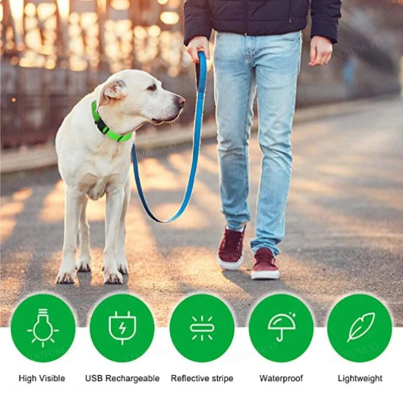 Collare LED Luminoso per Cani e Gatti - USB Ricaricabile, 3 Modalità,…