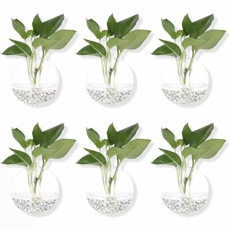 Vaso sospeso in vetro cristallo - Terrario idroponico autoirrigante 8 cm (pack…