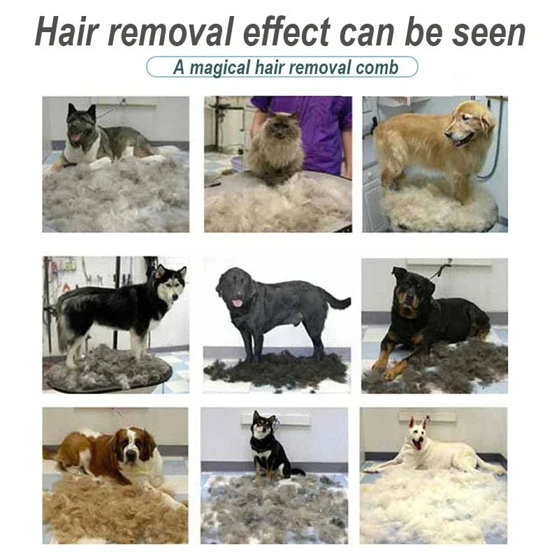 Spazzola anti-pelo per cani e gatti – Rimuove il sottopelo, ergonomica