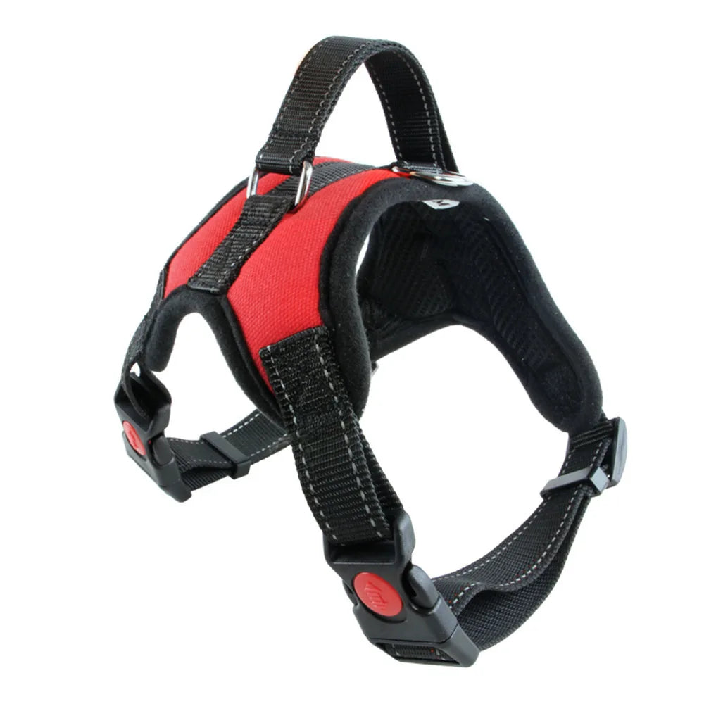 Imbracatura per Cani Vest Taglie S M L - Nylon Riflettente, Chiusura Lampo