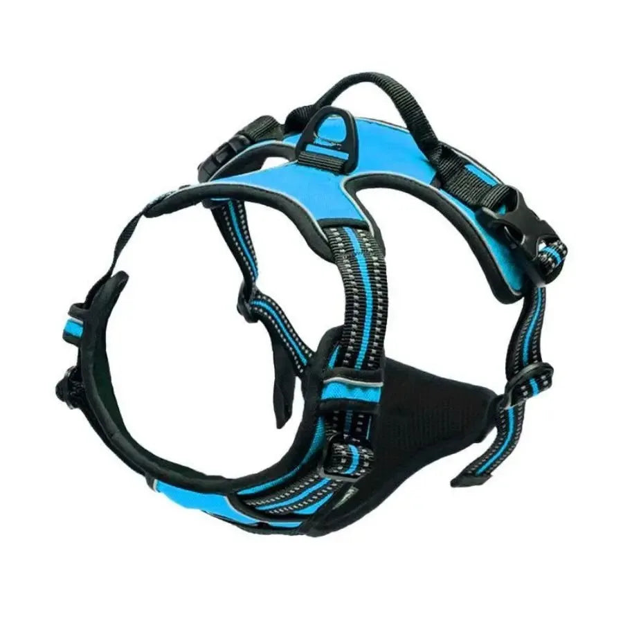 Set Collare e Imbrago a Gilet per Cani di Taglia Media e Piccola