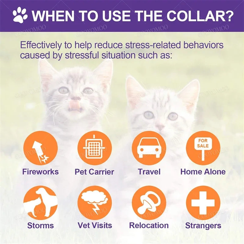 Collare Calmante a Feromoni per Cani e Gatti – Regolabile e Impermeabile