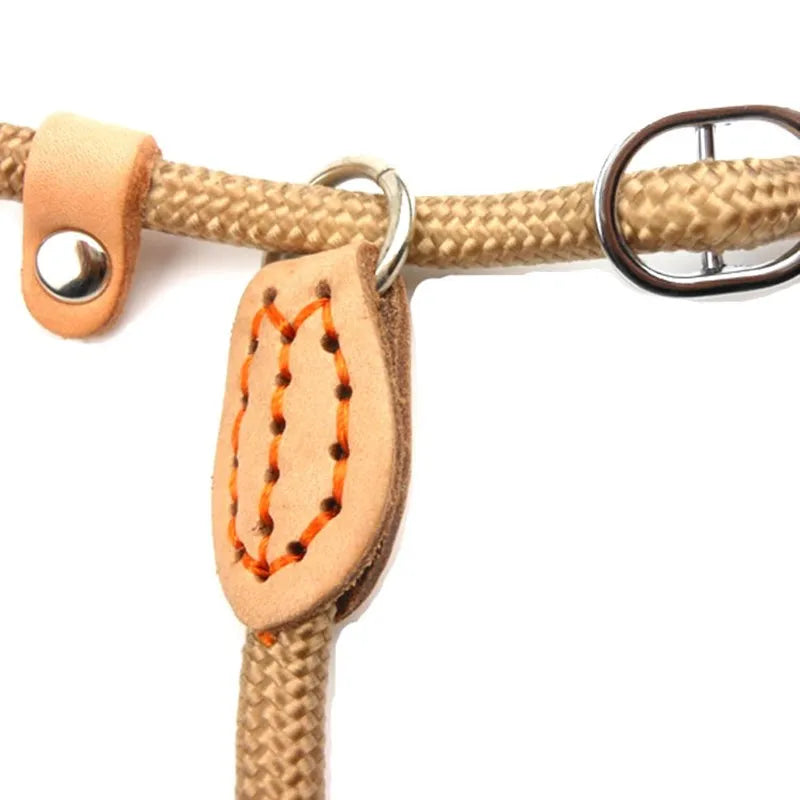 Guinzaglio a corda scorrevole in nylon rinforzato, regolabile per cani di…