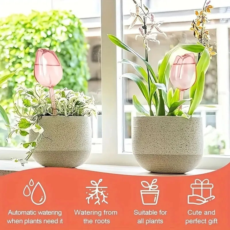 Sfere di irrigazione rosa a forma di tulipano per piante indoor e outdoor