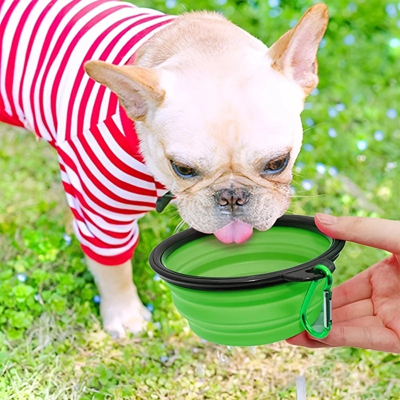 Ciotola Portatile Pieghevole in TPR per Cibo e Acqua, per Cani e Gatti