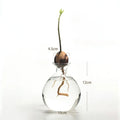Avocado Seed Starter Vase Avocado Vase for Growing Avocado Seed Growing Kit Plant Glass with Stickers Gift for Gardening Lovers