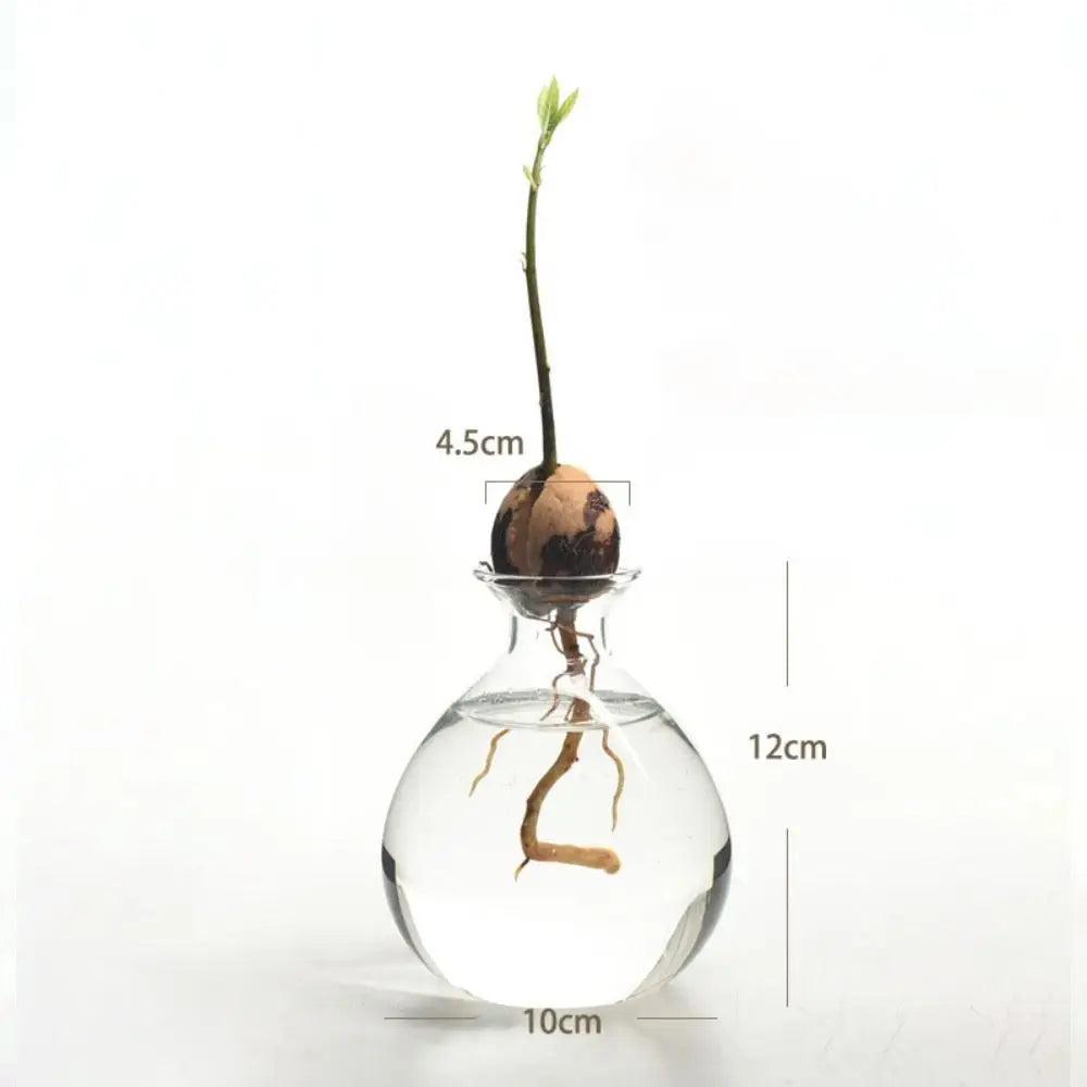 Avocado Seed Starter Vase Avocado Vase for Growing Avocado Seed Growing Kit Plant Glass with Stickers Gift for Gardening Lovers