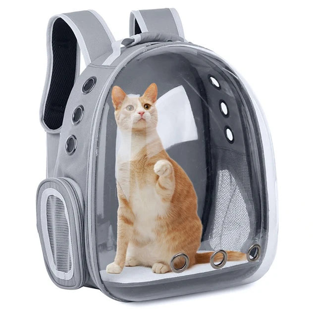 Zaino Portagatto Trasparente da Viaggio, Trolley per Gatti, Borsa Respirabile