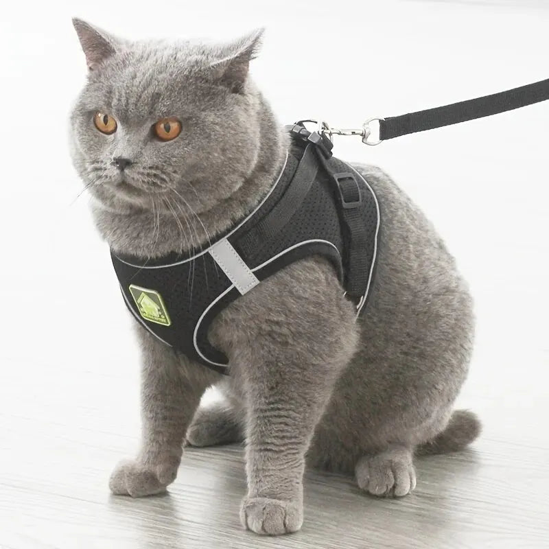 Imbracatura Riflettente per Cani e Gatti, Guinzaglio Set Traspirante
