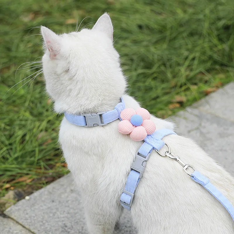 Set guinzaglio e pettorina regolabile per gatto – Comfort e sicurezza