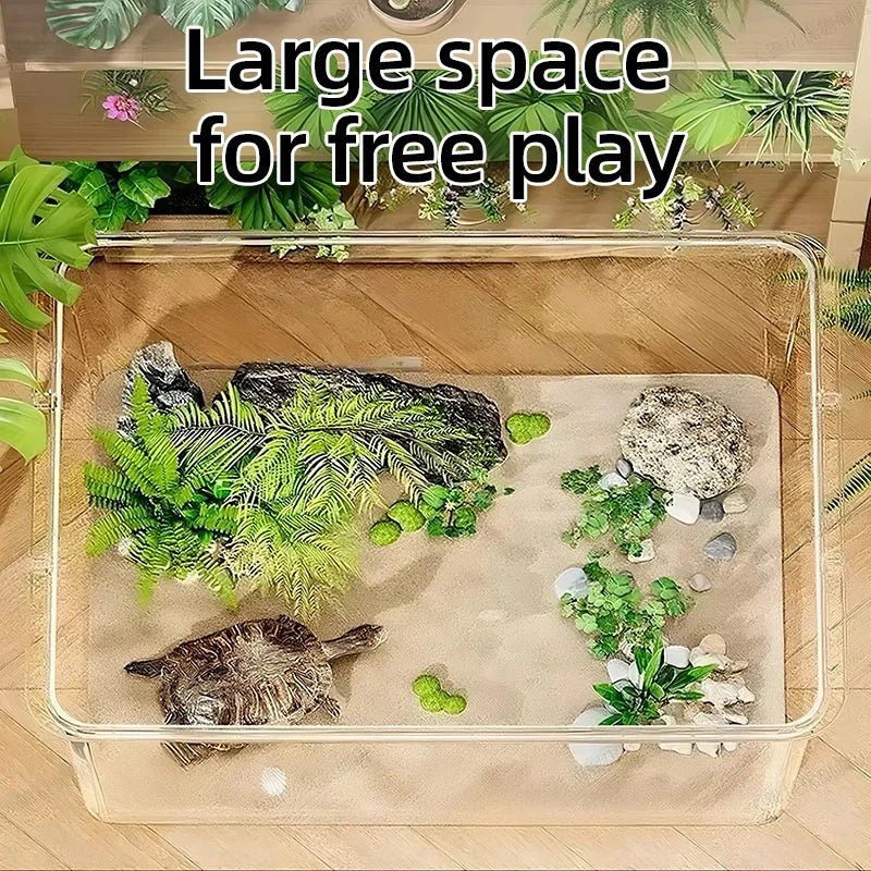 Acquario da scrivania 360° panoramico mini in PET trasparente – per principianti