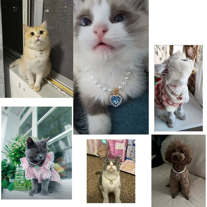 Collarino con Ciondolo a Cuore e Perla Falsa per Gatti e Cani – Fashion