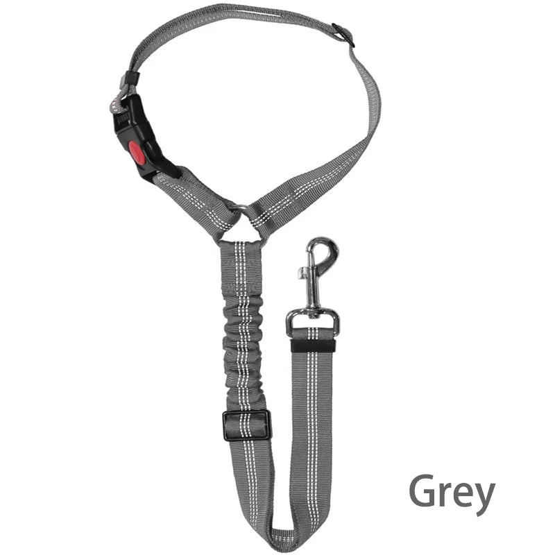 Imbracatura Canino Gatto Cintura Auto 2-in-1 Guinzaglio Sicurezza Sedile…
