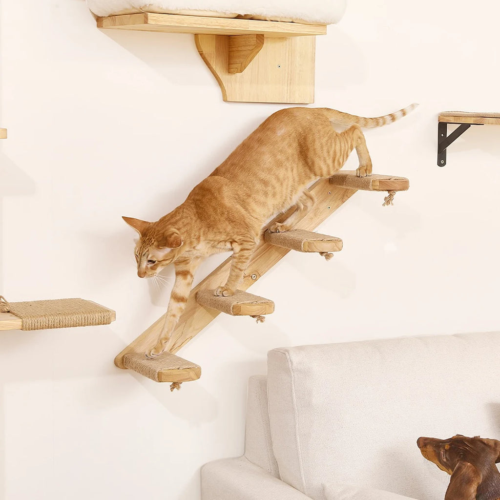 Amaca da parete per gatti – Tettoia arrampicata in legno, riposo e gioco