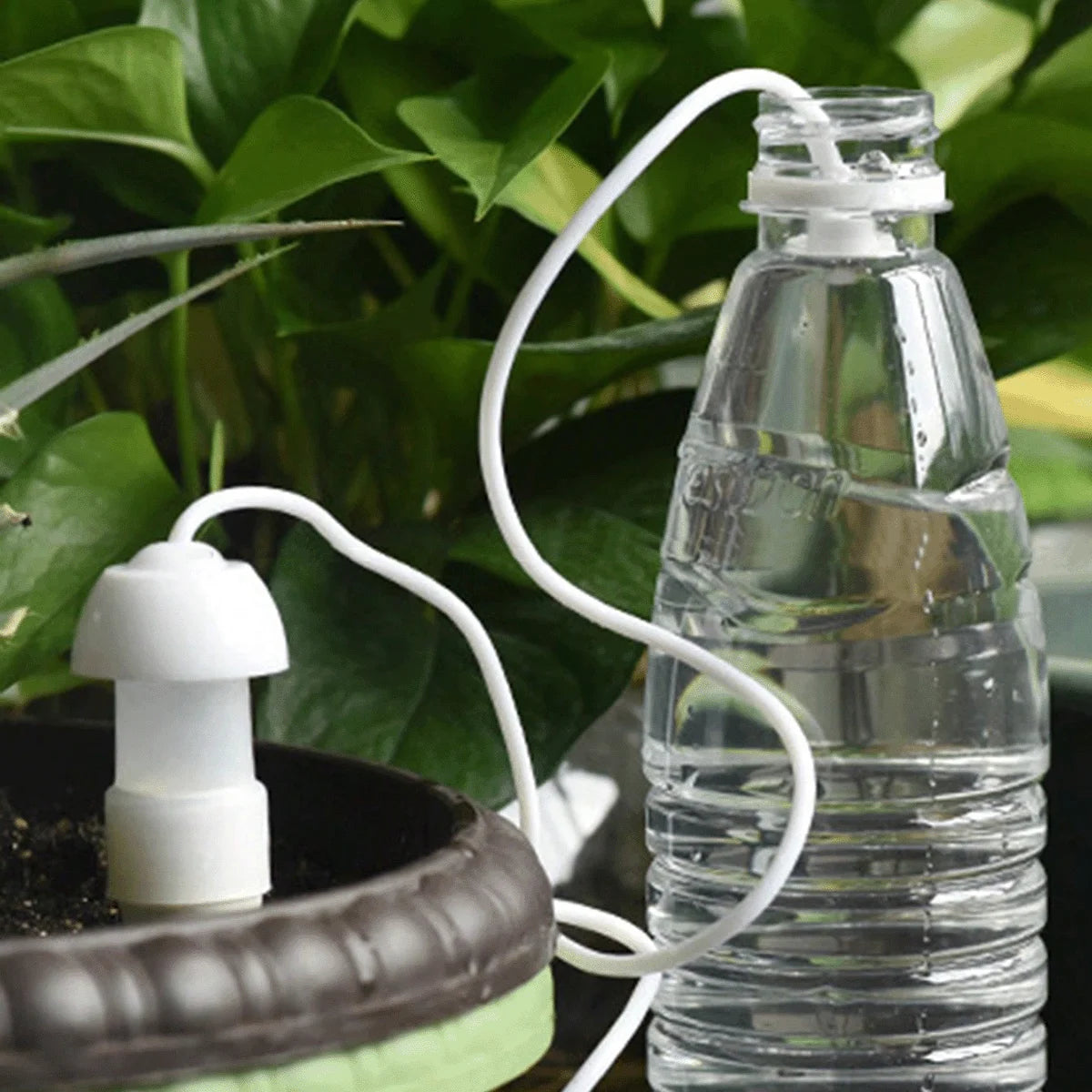 Set da 2 o 4 Irrigatori Automatici in Ceramica per Vasi e Giardino