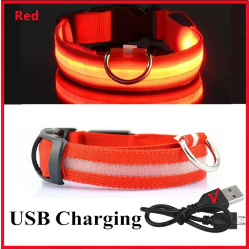 Collare LED Luminoso per Cani e Gatti - USB Ricaricabile, 3 Modalità,…