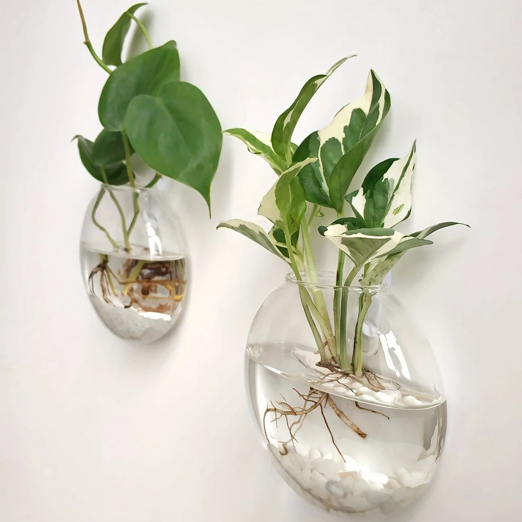 Terrario da parete in vetro con vaso cristallo rotondo - Kit da 2/4/6…