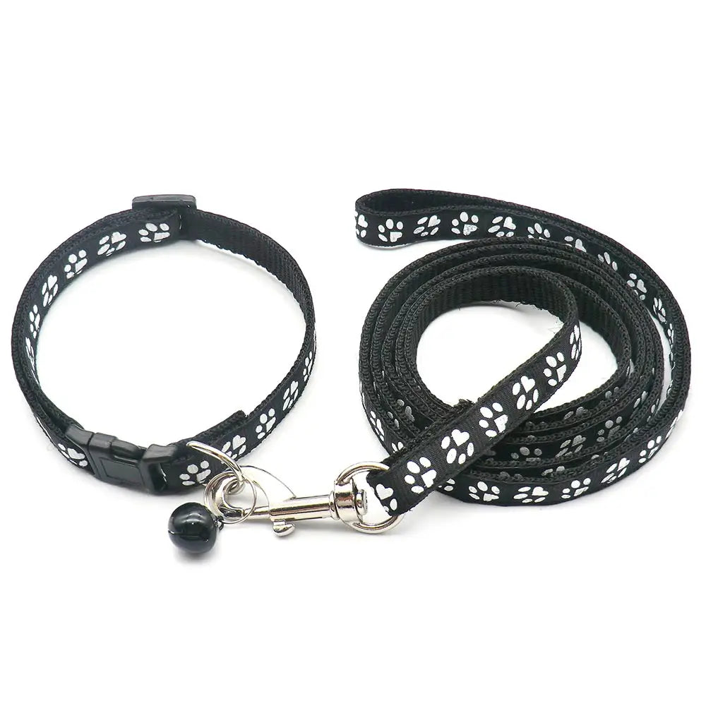 Set guinzaglio e collare per cucciolo 1,2 m in nylon resistente –…