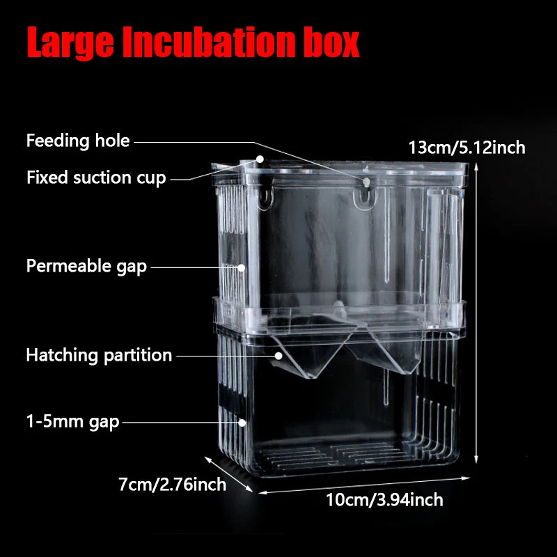 Box isolatore per incubazione pesci – vasca alta trasparente per guppy