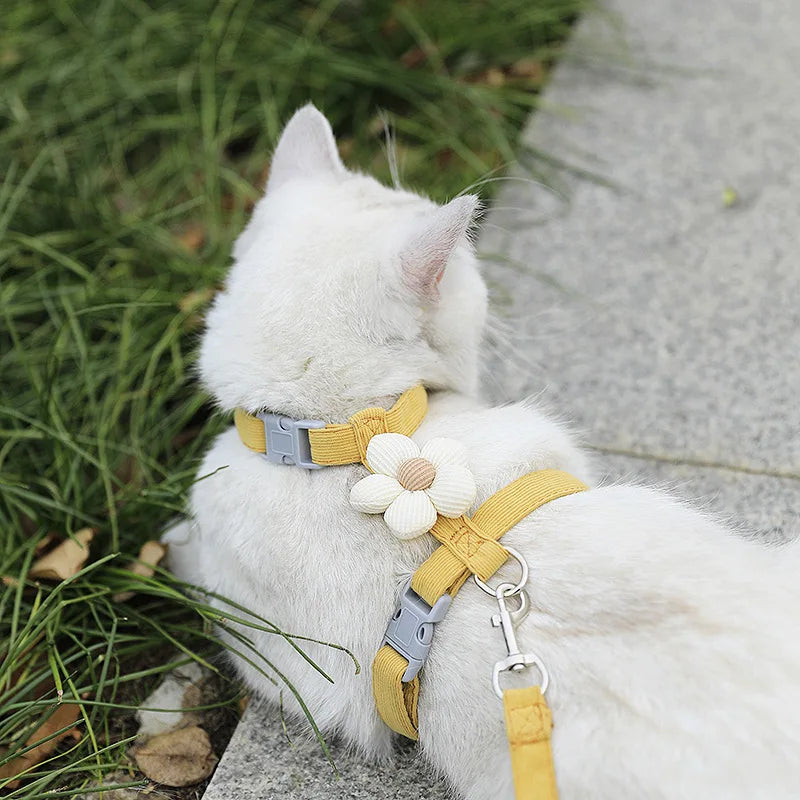 Set guinzaglio e pettorina regolabile per gatto – Comfort e sicurezza