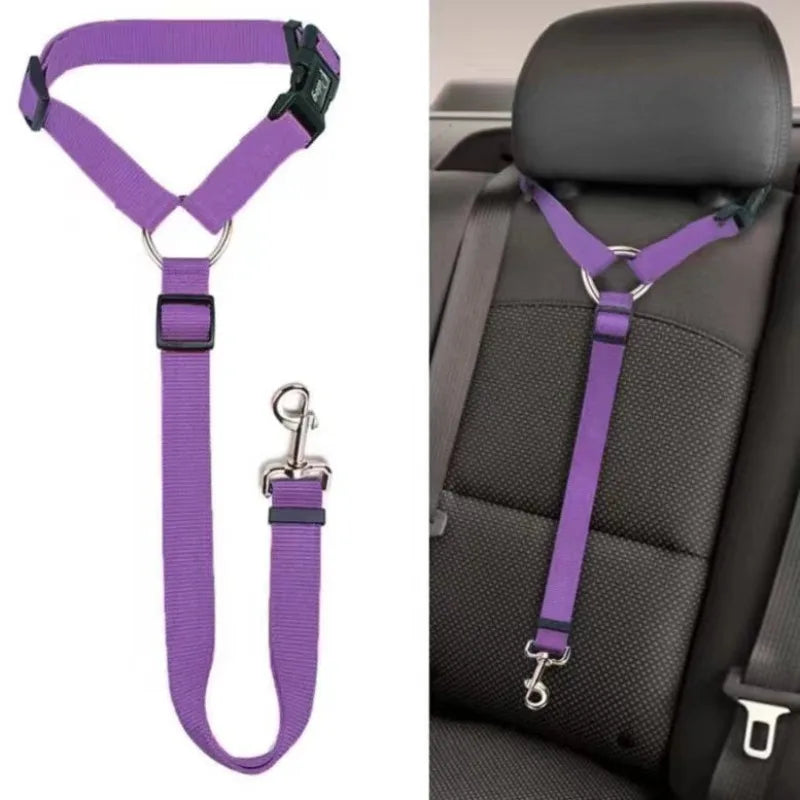 Cintura di Sicurezza per Auto e Guinzaglio in Nylon Regolabile – Accessorio per…