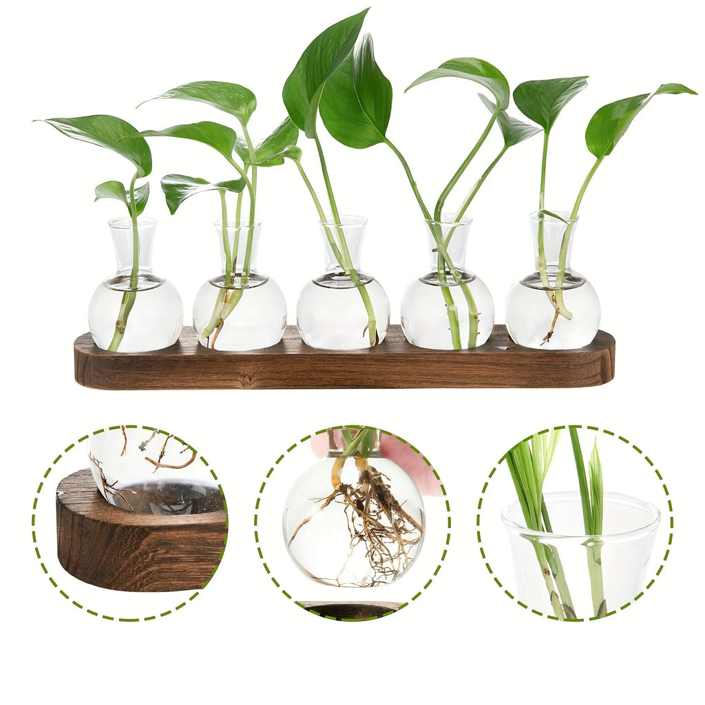 Plant Terrarium Glass Vase Modern Transparent with Wooden Tray, Hydroponics Propagation Station Indoor Desktop Decor