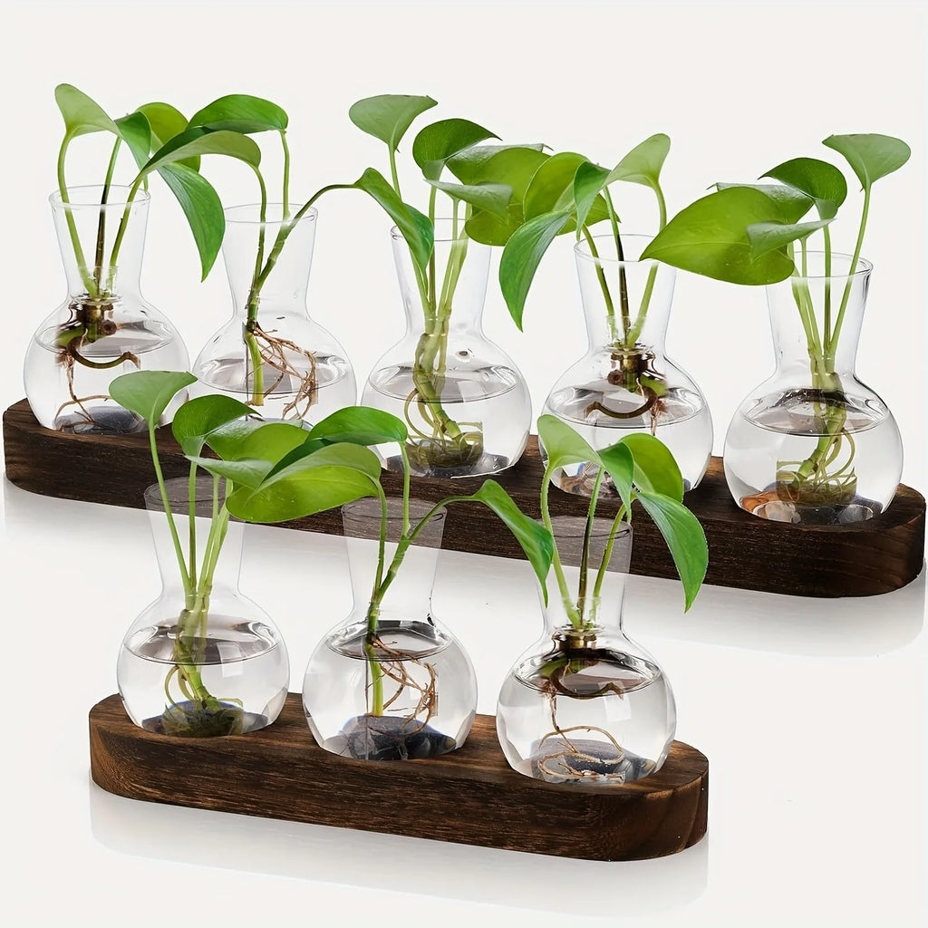 Plant Terrarium Glass Vase Modern Transparent with Wooden Tray, Hydroponics Propagation Station Indoor Desktop Decor
