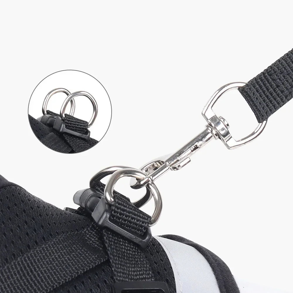 Set guinzaglio e pettorina regolabile riflettente in mesh per cani e gatti